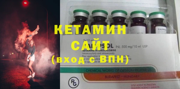 индика Горно-Алтайск