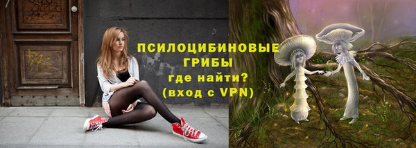 дживик Березники